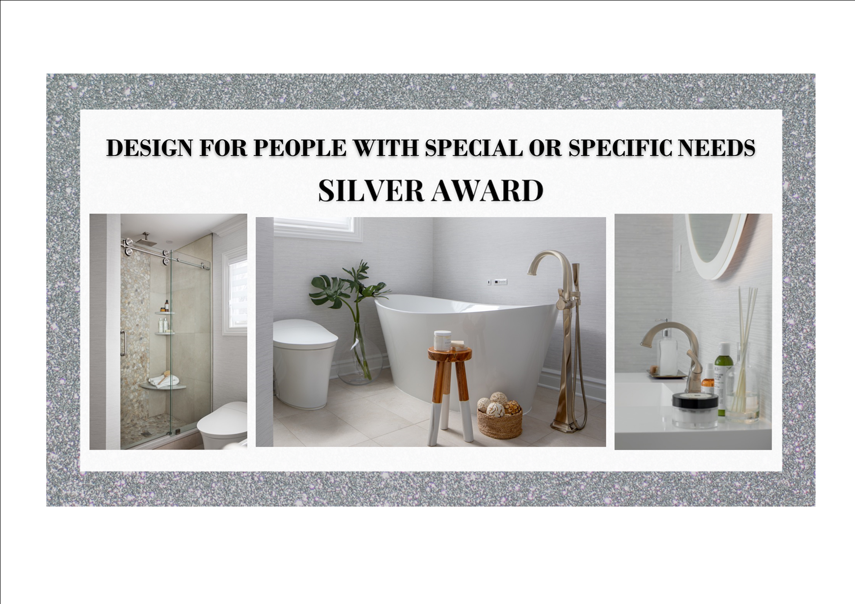 Silver Award Design for People with Special or Specific Needs